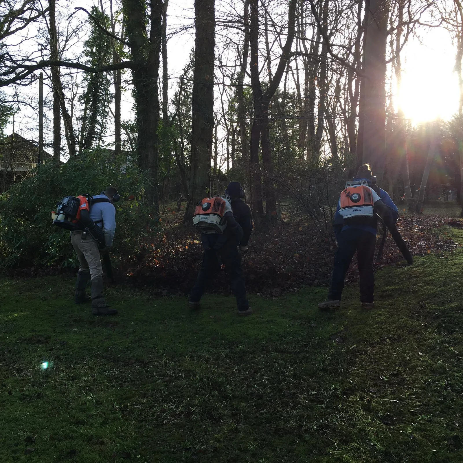 White fence in field