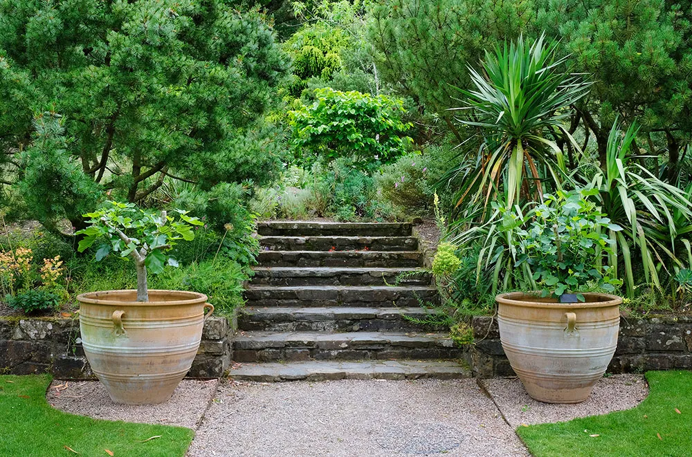 Garden Stairs